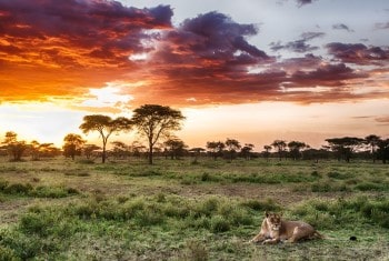 Holiday destinations to ”die for” in Africa