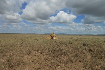12 reasons to visit Tanzania