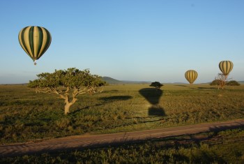 26 Best things to do in Tanzania