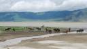 Ngorongoro_Crater,_Tanzania