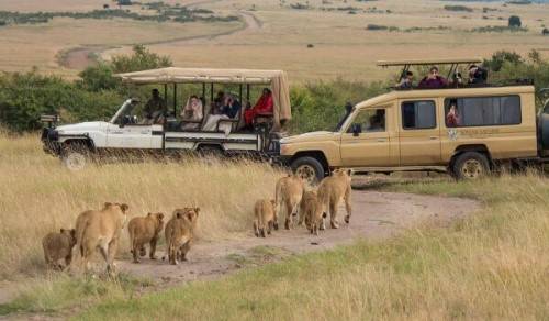 9 Adventures you must enjoy in Kenya